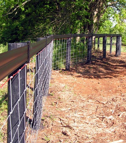 We can even make cattle wire look great!