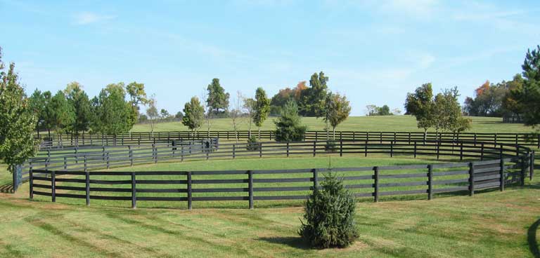 Wood Horse Fence