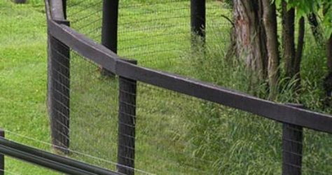 Fence Posts